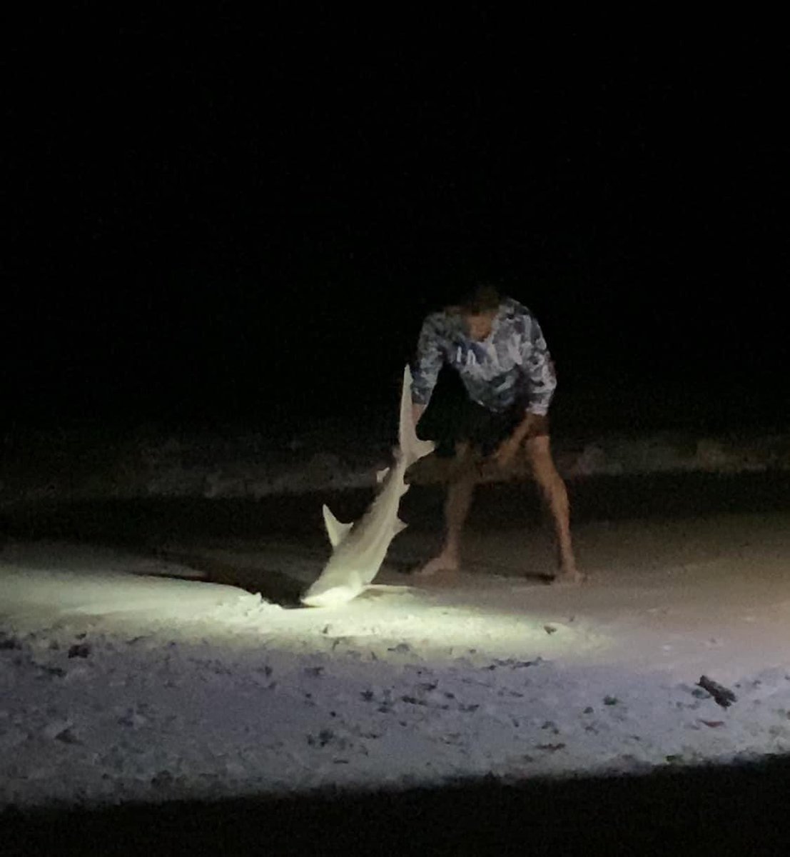 chads680's tweet photo. @spann This was caught in front of Jetty East area in Destin, Thur June 6 approx 845pm. And yes this picture was taken by my wife. Fishermen said they’ve been catching one that size each night https://t.co/3AkaSlxBCN