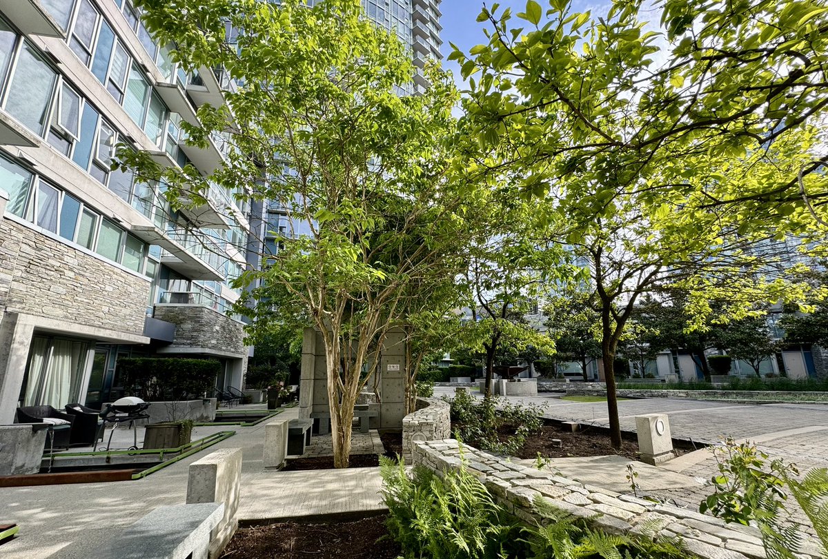 Brent Toderian tweet media