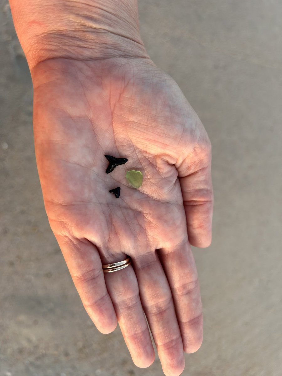 Joanne Sahms tweet media