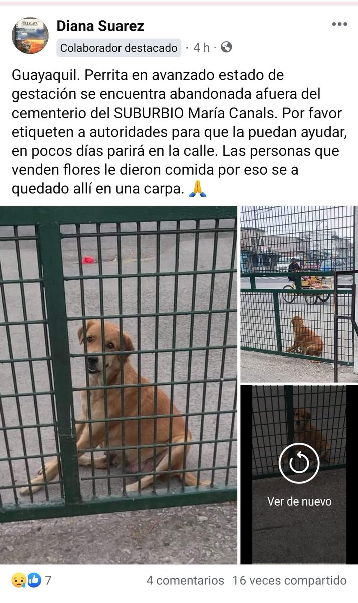 carmitafernandez tweet media