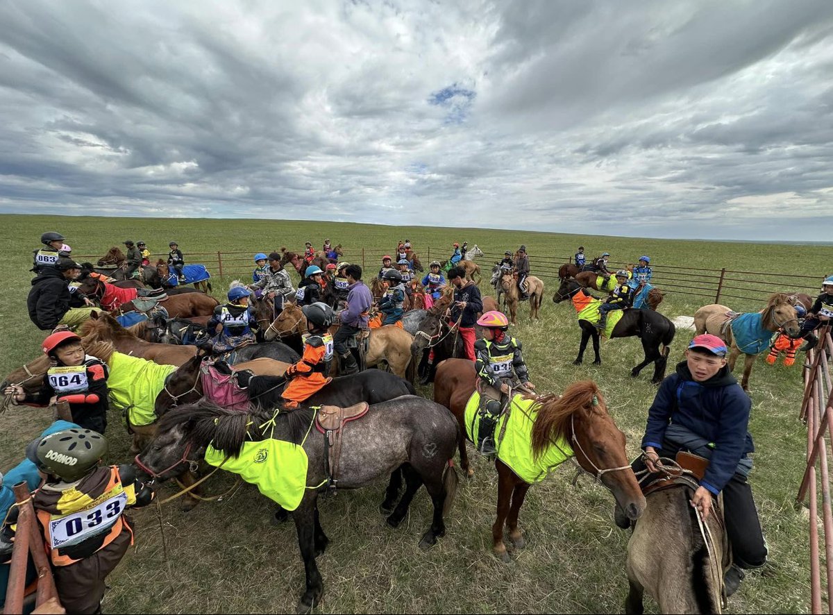 Миний тоонотод яг одоо зуншлага ийм л бна даа ..