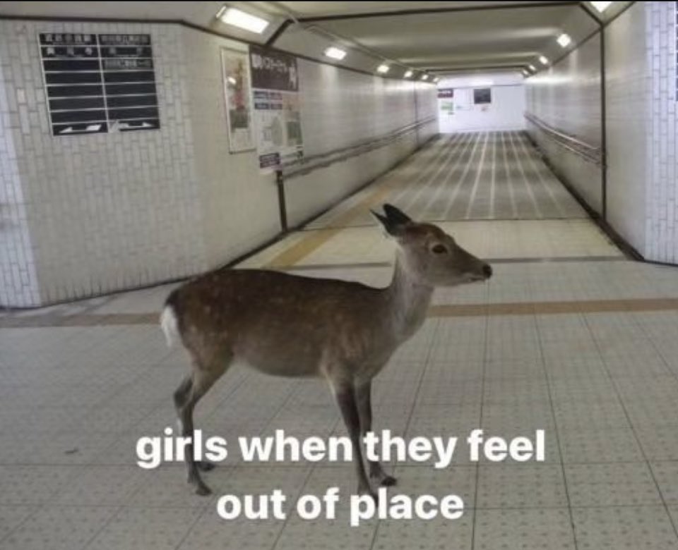 The Notorious J.O.V. (@whotfisjovana) on Twitter photo 