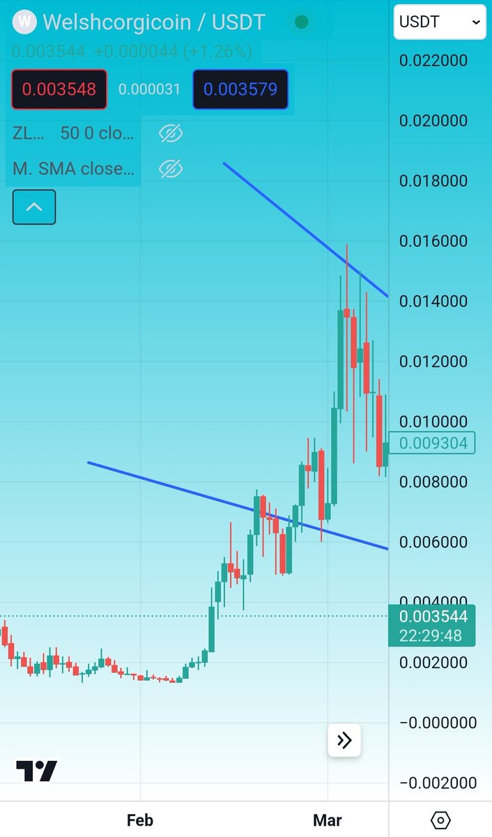 welshcorgibank.btc tweet media