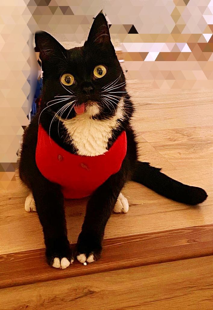 Ranginekoman Classic Art (@ranginekomanc) on Twitter photo 