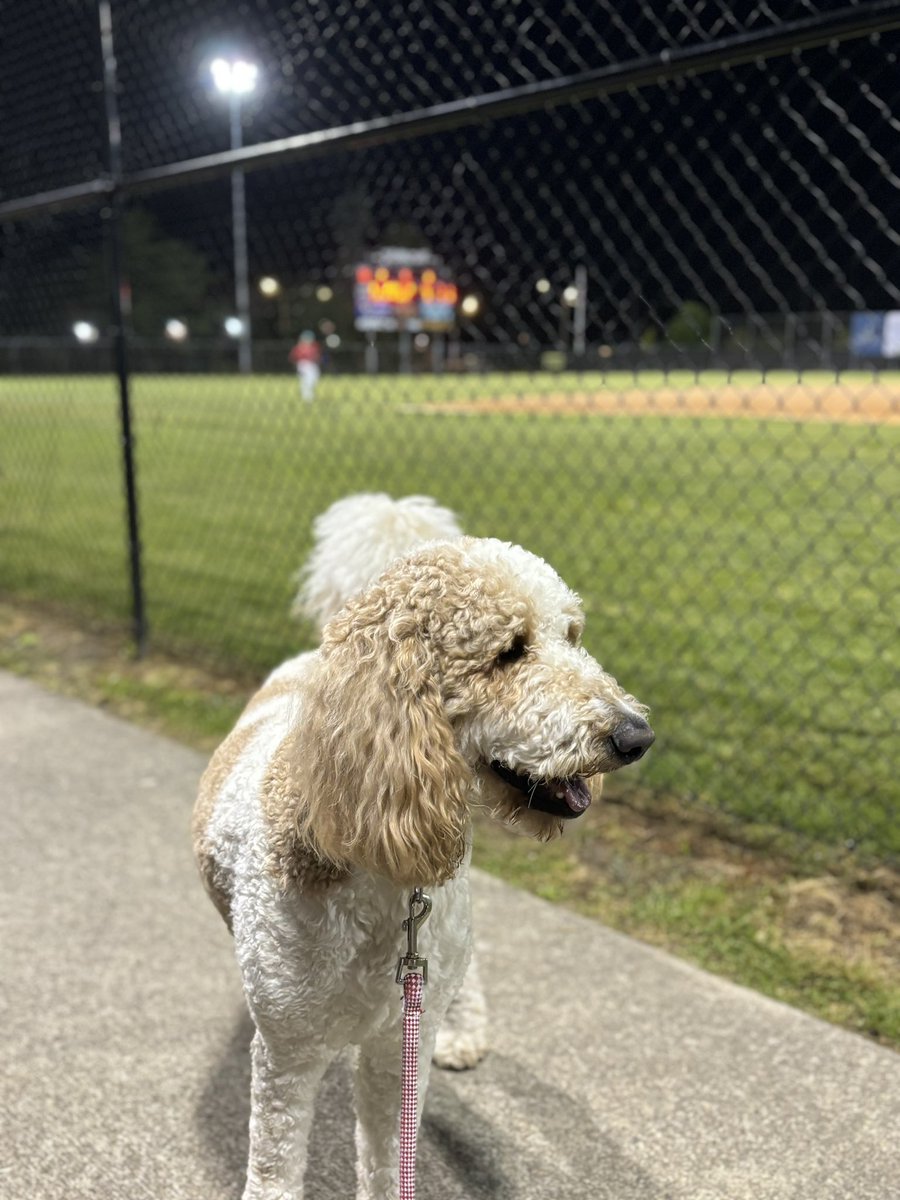 Even though it was a ruff night for the <a href="/danbwesterners/">Danbury Westerners</a> I had a pawtastic night at Bark at the Park, here at Rogers Park! Can’t wait to come back! 🐾🐶🌭
#GOWESTERNERS #NECBL ⚾️