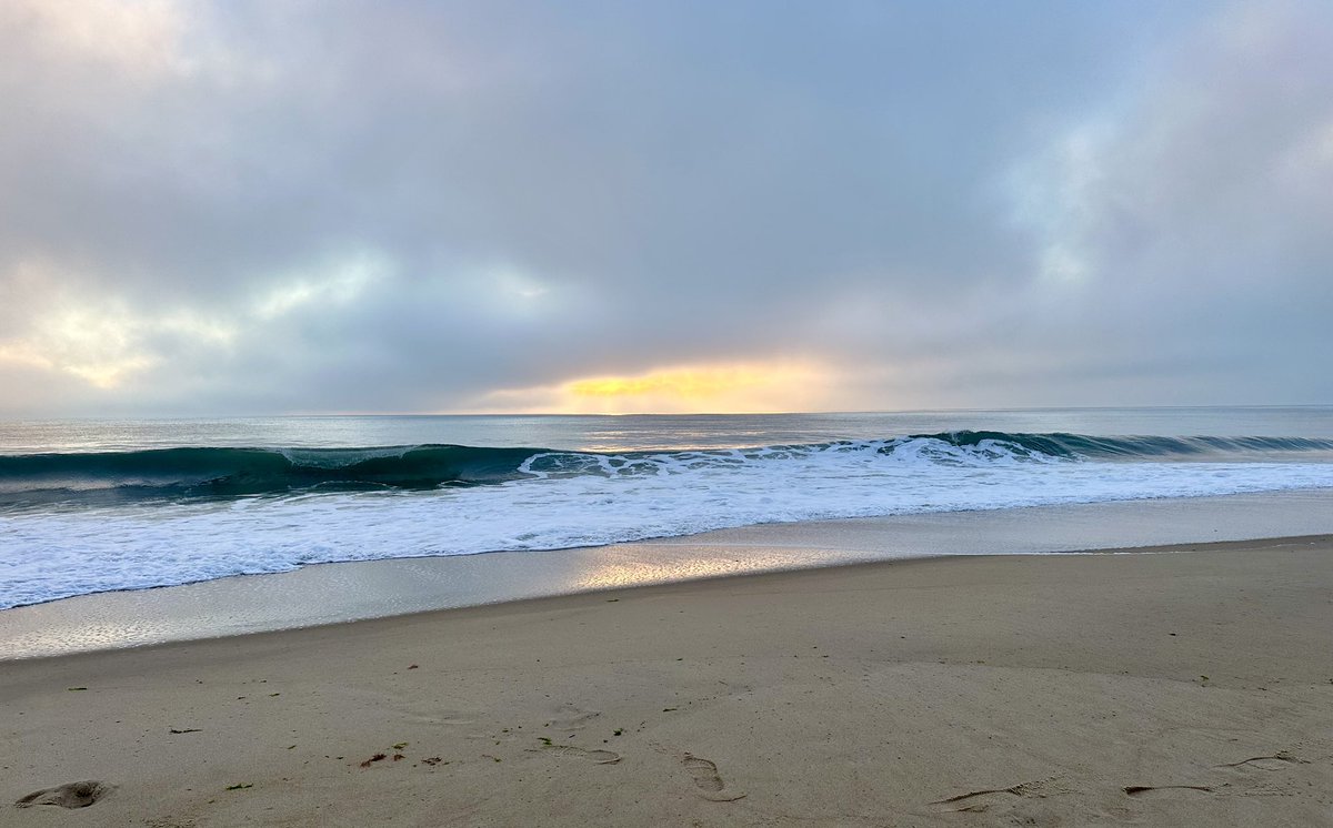 MyLineIsRed tweet media