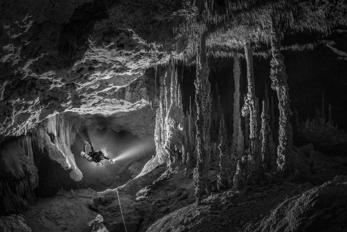 tstgeorge's tweet photo. Ancient Caves - an amazing cave dive with breathtaking formations.

#DIVEsBigShotCaves #AggressorAdventures @DiveMagazine https://t.co/HNyyzOMK4p