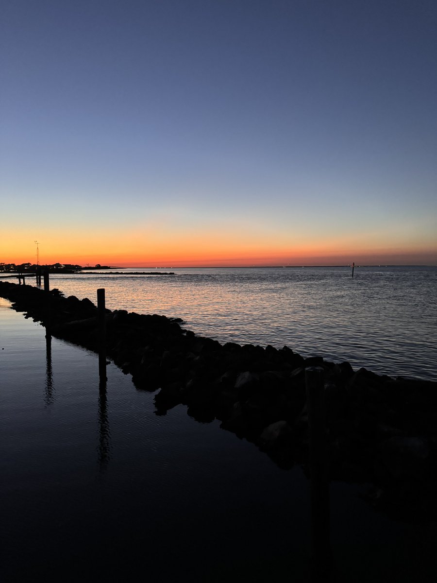 tedcox3's tweet photo. Dauphin Island, Alabama 2024. https://t.co/c5du6izxx9