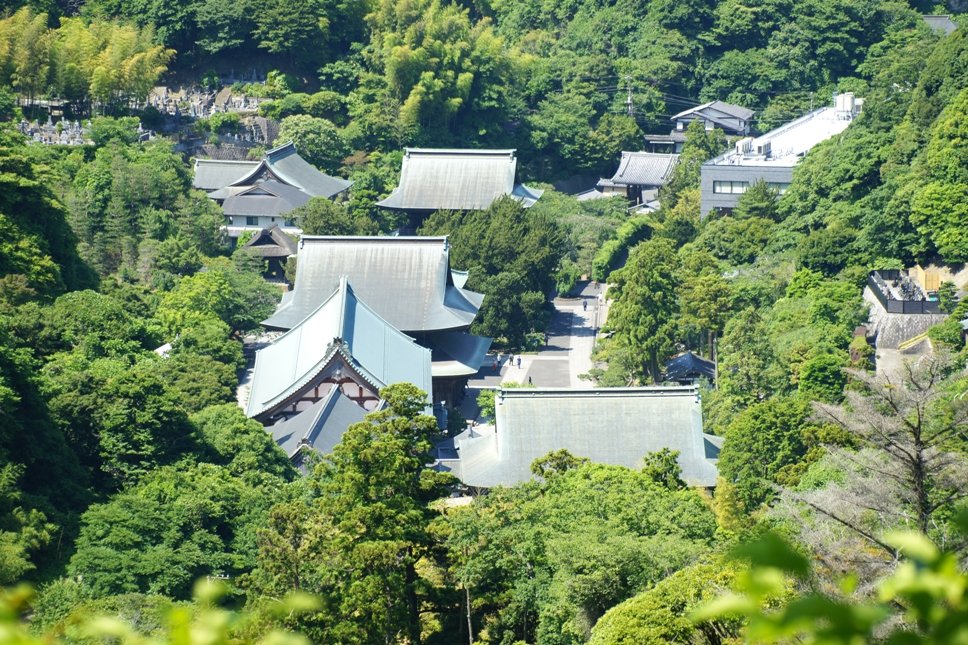 cherry_masaya's tweet photo. untitled ◆ Kenchoji_temple
6.8.2024(SONY α-900,minolta_100-300mmAPO,M/iso160)
#shojokenobservatory #viewstagram
#kenchoji #zentemple #japan
#写真好きな人と繋がりたい
#旅行好きな人と繋がりたい
#勝上嶽展望台 #お散歩 #建長寺 #臨済宗 #鎌倉 #日本景點 https://t.co/sSB9GJ5gsh