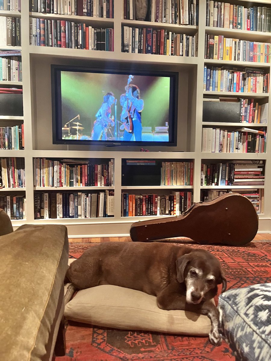 johnpelwood's tweet image. My famous dog and I are taking advantage of being alone tonight to watch The Rolling Stones Live in Texas 1978. It’s so good—fabulous, digitally enhanced recording of the band having a ball—it’s making me reconsider my worshipful attitude towards the Mick Taylor era Stones.