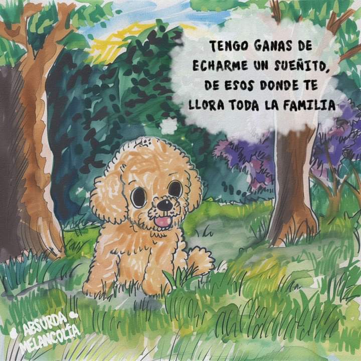 Absurda Melancolía (@absurdamela) on Twitter photo 