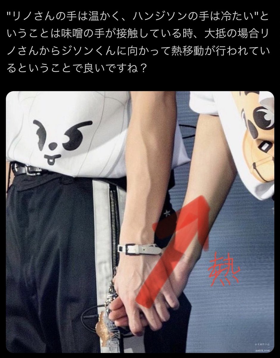 omg this is devastating observation from a jstay minsunger 😭

“lee know-san’s hands are warm, han jisung’s hands are cold,” which means that when they hold hands, lee know is transferring warmth to jisung majority of the time, am i analyzing this correctly?