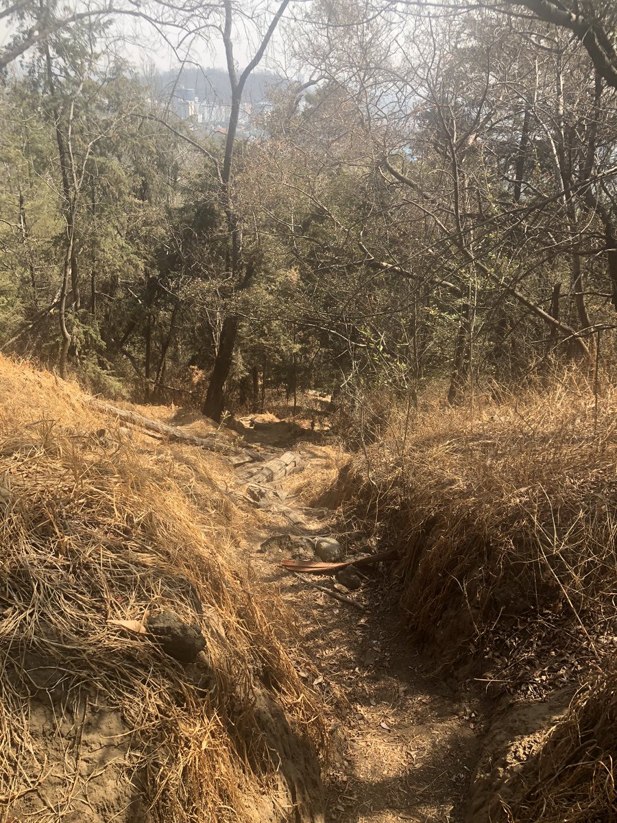 GaboSayaRanza's tweet photo. Apoco pensaban que ya estábamos fuera?! No digan mmdas, asfalteros.
Estamos de regreso!!!
Descansados y motivados!!!
Con todo, mi corazón hermoso!!! @AideCordova te amo, muchísimo!!!!
#AG 🏔️🏃🏻♀️🏃🏻♂️🐶❤️🔥🇲🇽⛰️
#RumboA… Aguascalientes, Sierra del Laurel 65K https://t.co/NSEHuESclQ