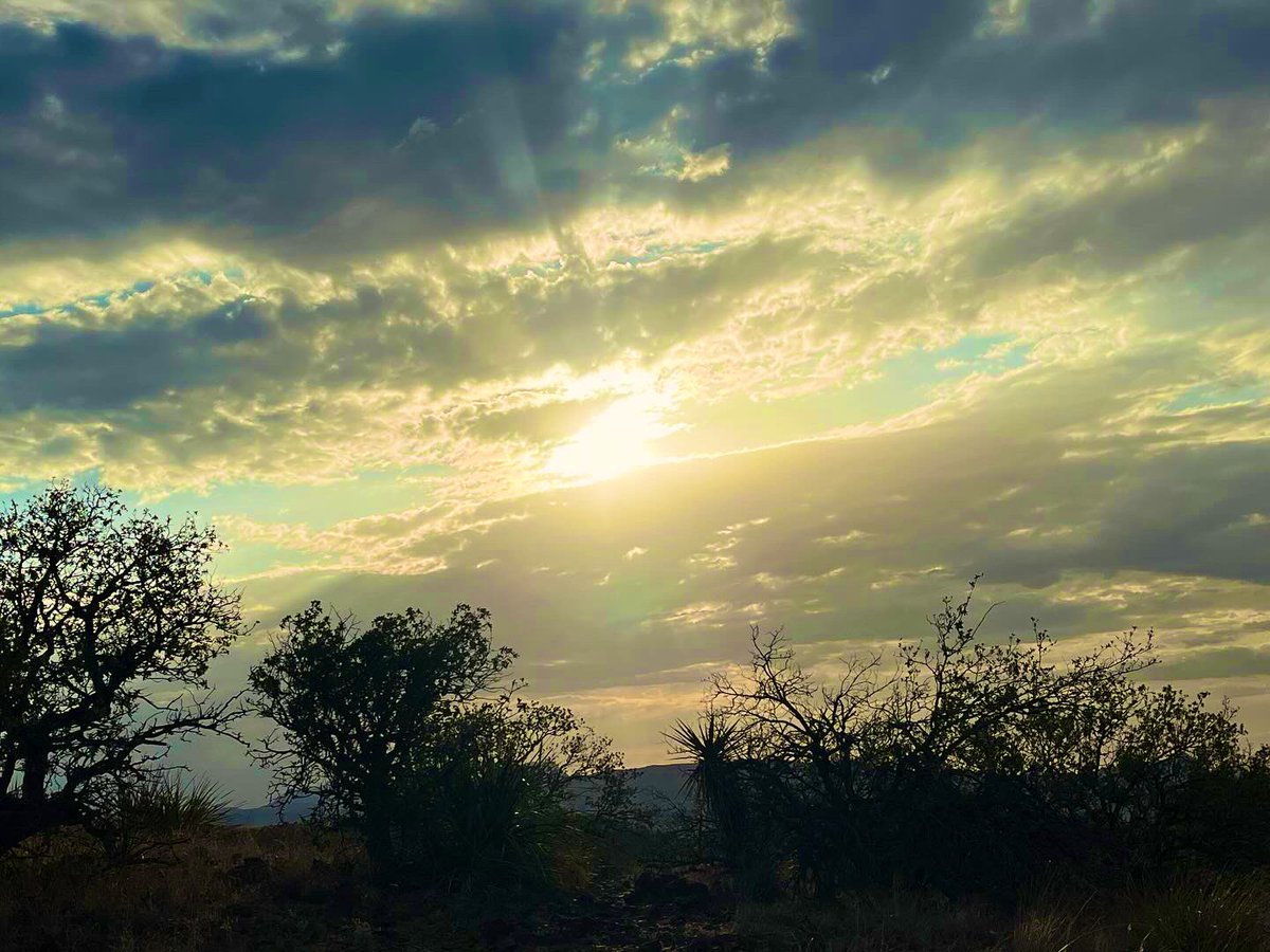 Brad_Carpenter's tweet photo. West Texas ❤️🙏🏼

#westtexas #alpinetx

@Sul_Ross https://t.co/AdnJFVaBJy