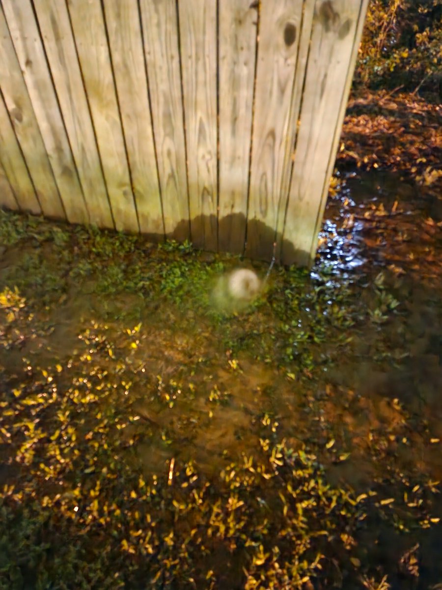 Daniel Carruth tweet media