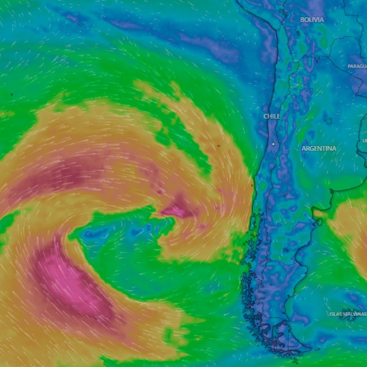 Fuck Check CL tweet media