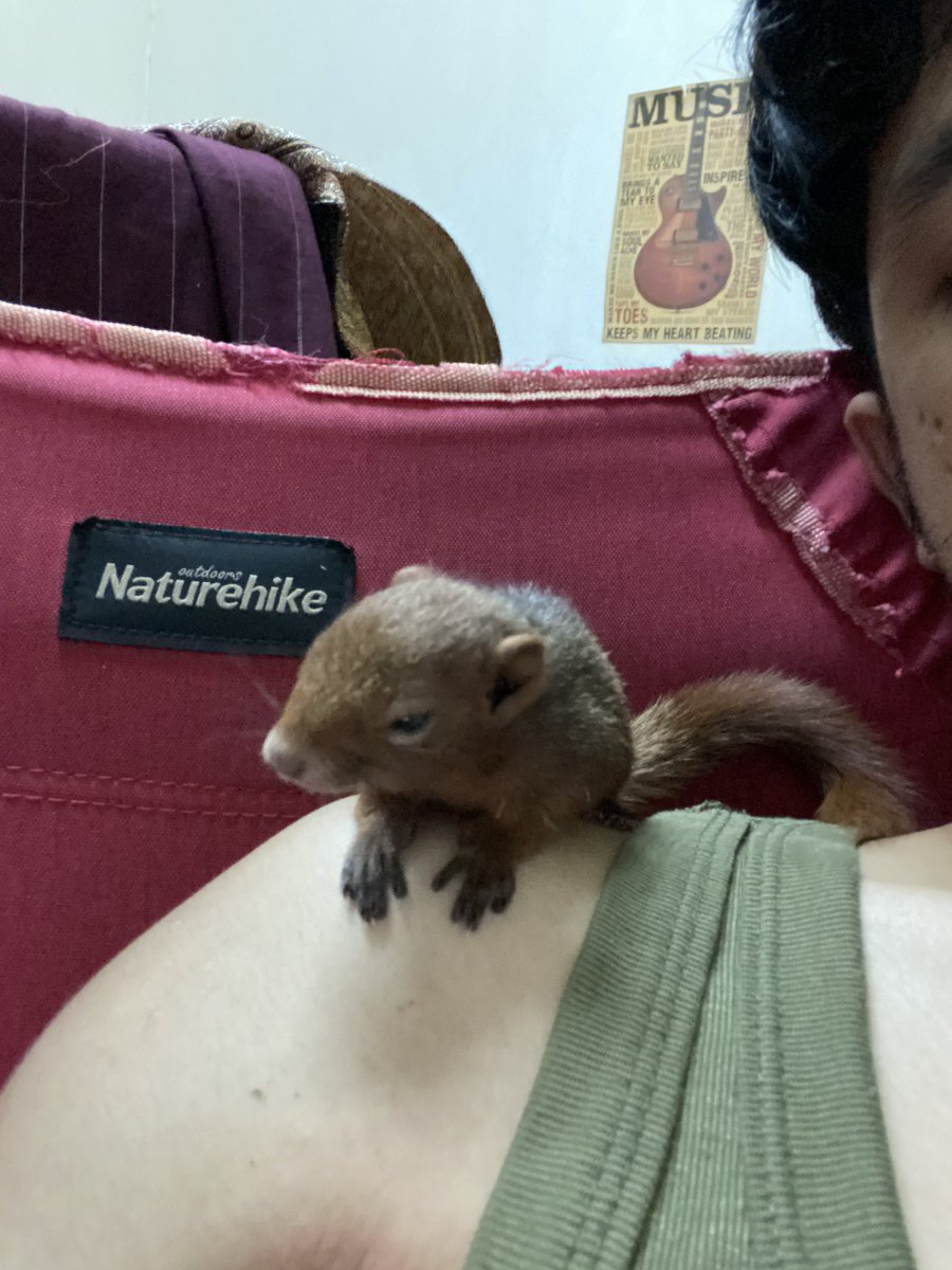 Yas_9501's tweet photo. 🐿️ https://t.co/GHvd04NJJ1