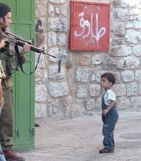 <a href="/EylonALevy/">Eylon Levy</a> The difference is that’s a 3 year old child