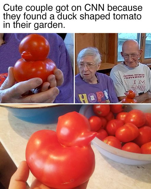 mathbrick's tweet photo. FINALLY!! A news story from CNN proving that they're not all Twisted, acidic, unnatural, illusions for old people. (I'm tweeting this in @StephenAtHome 's voice, btw) https://t.co/dCBSpDRyeu