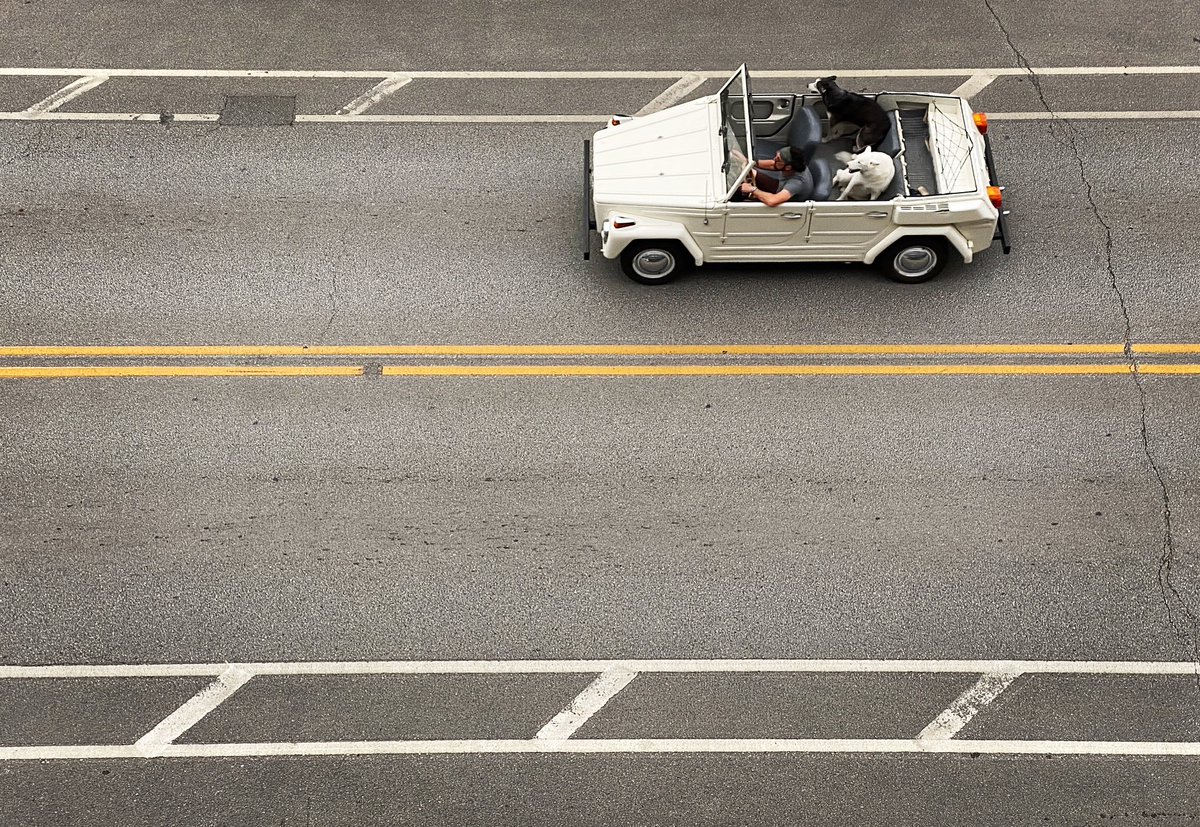 Another from the occasional iPhone series "Scenes From My Balcony".
#VolkswagenThing #VWThing