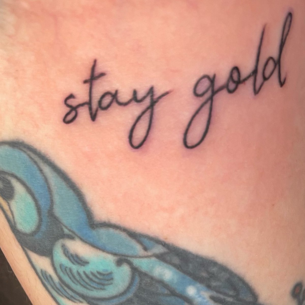 finleysroxanne's tweet photo. i got an outsiders tattoo https://t.co/ciVDYsrPRc