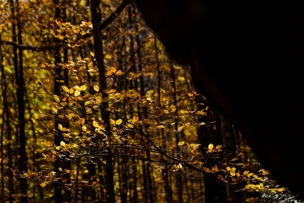 instagram.com/stories/julioe…