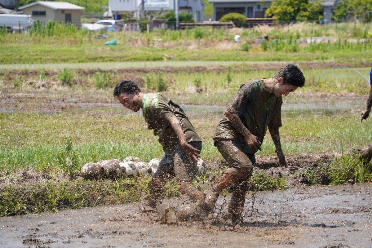古林将太 tweet media