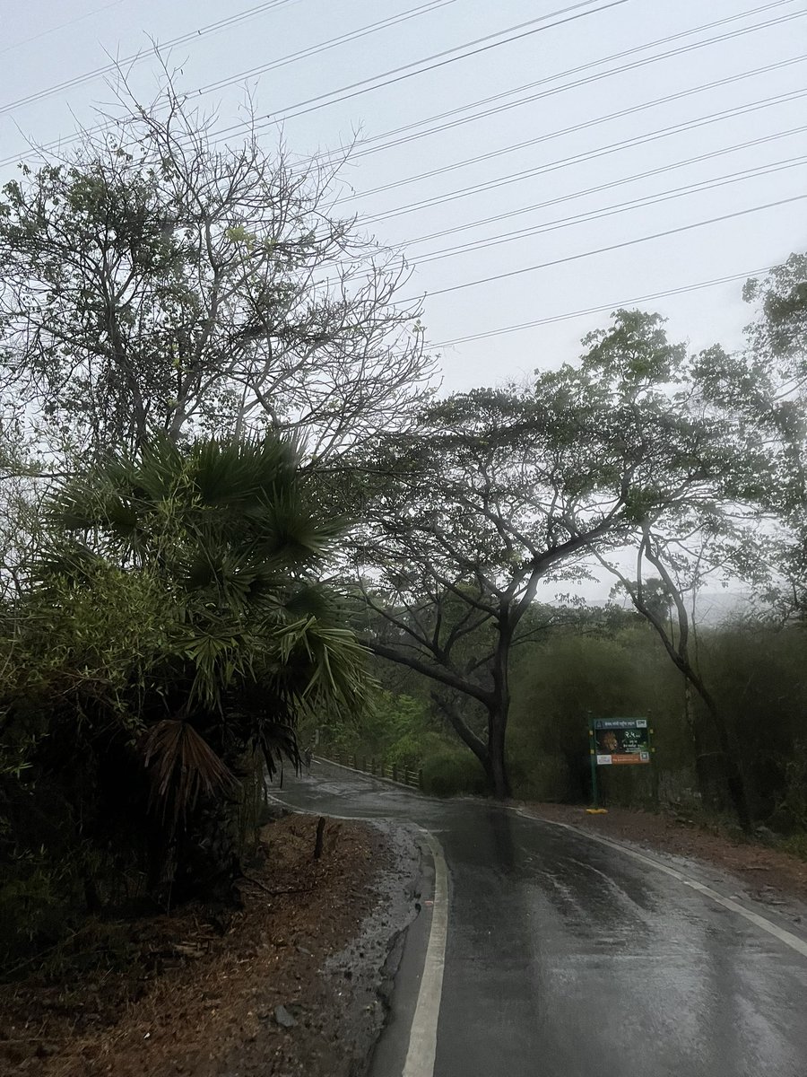 aakashkotian3's tweet photo. 🌧️ + 🏃🏻 = 💪🏼
#KeepDoingIt https://t.co/bPVE7DeRqu