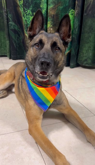 Have a safe, productive, and enjoyable Pride month.  If you are attending festivals and parades, remember