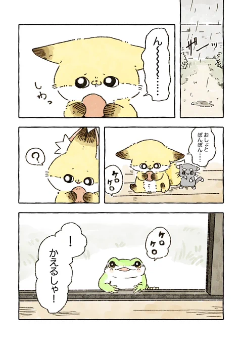 雨の日の出会い🐸 