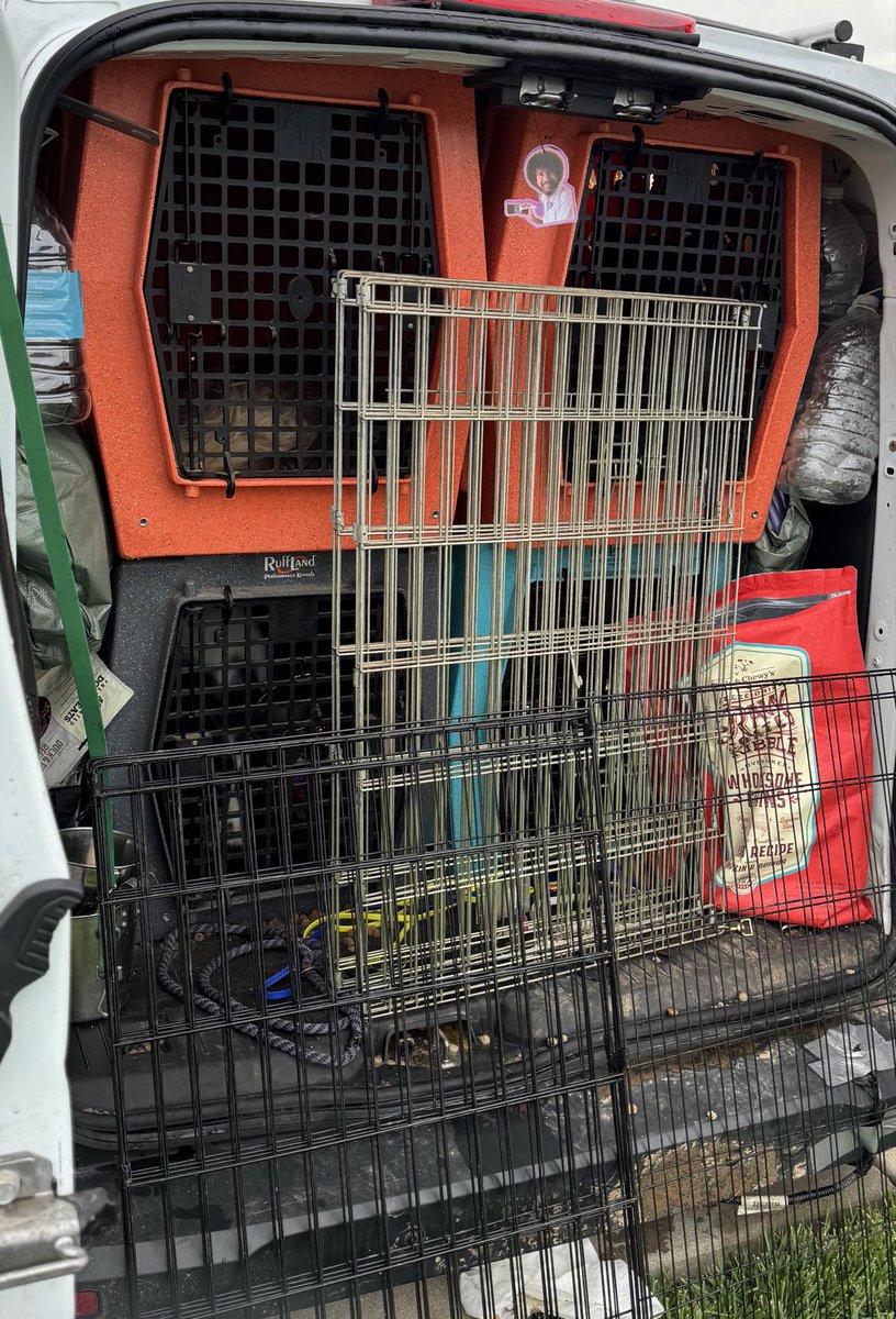 Hootaloo's tweet photo. 🚩IMPORTANT🚩
this needs to be SHARED 

Ally Gibson/ @Muttmiix needs to be held accountable and to never be in contact with a living creature again

‼️TW- Dog Death‼️

Sinatra was failed so horribly. No water, no food, overheating, struggling to breathe.
A barbarically cruel end. https://t.co/R3C9ivvY9V