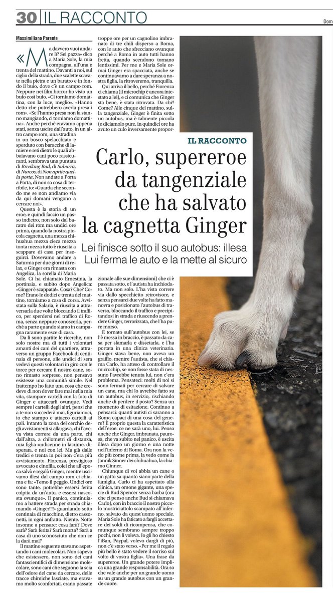 parentetweet's tweet photo. Storia (vera) di un supereroe, autista di autobus, che ha salvato la mia piccola cagnetta mezza chihuahua mezza cieca mezza tonta dispersa per Roma per un giorno e una notte. Il mio racconto oggi sul Giornale. #ginger #ginner https://t.co/bg8AmOj9t2