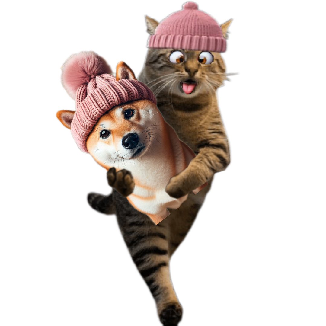 Joecall20's tweet photo. @wiftardio $NAMI will not give up too！Nah！ https://t.co/kQQInsB9fV