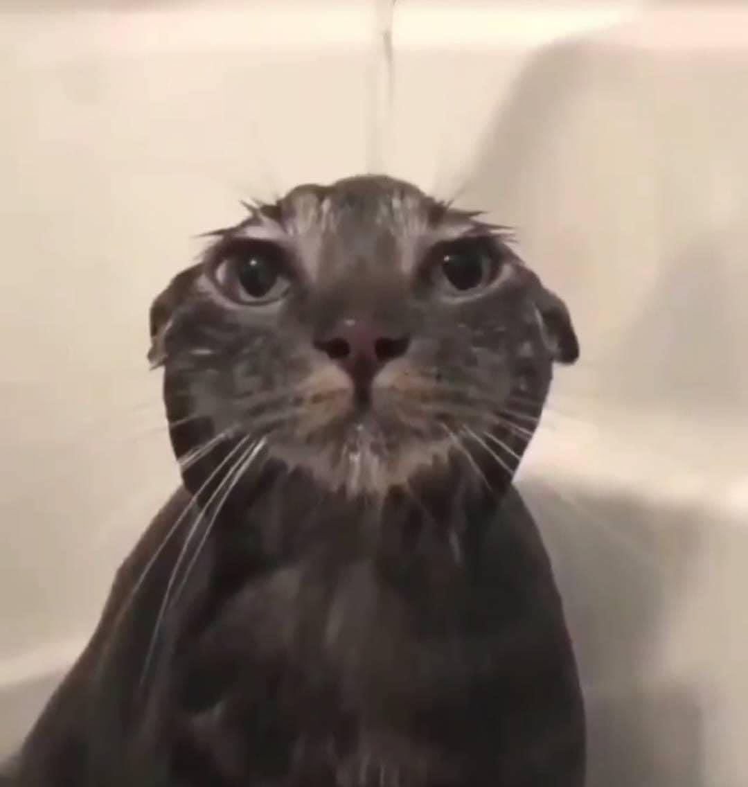 Las girls y yo en la ducha esperando que pasen los 5 minutos del acondicionador: