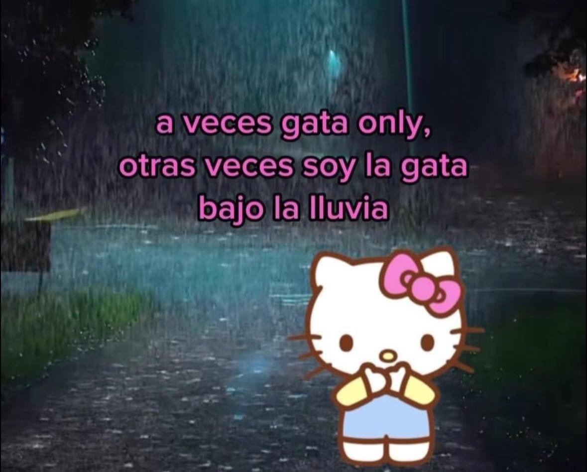 belipelona tweet picture
