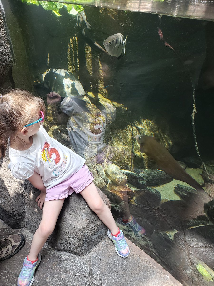 Canna and her fish friend