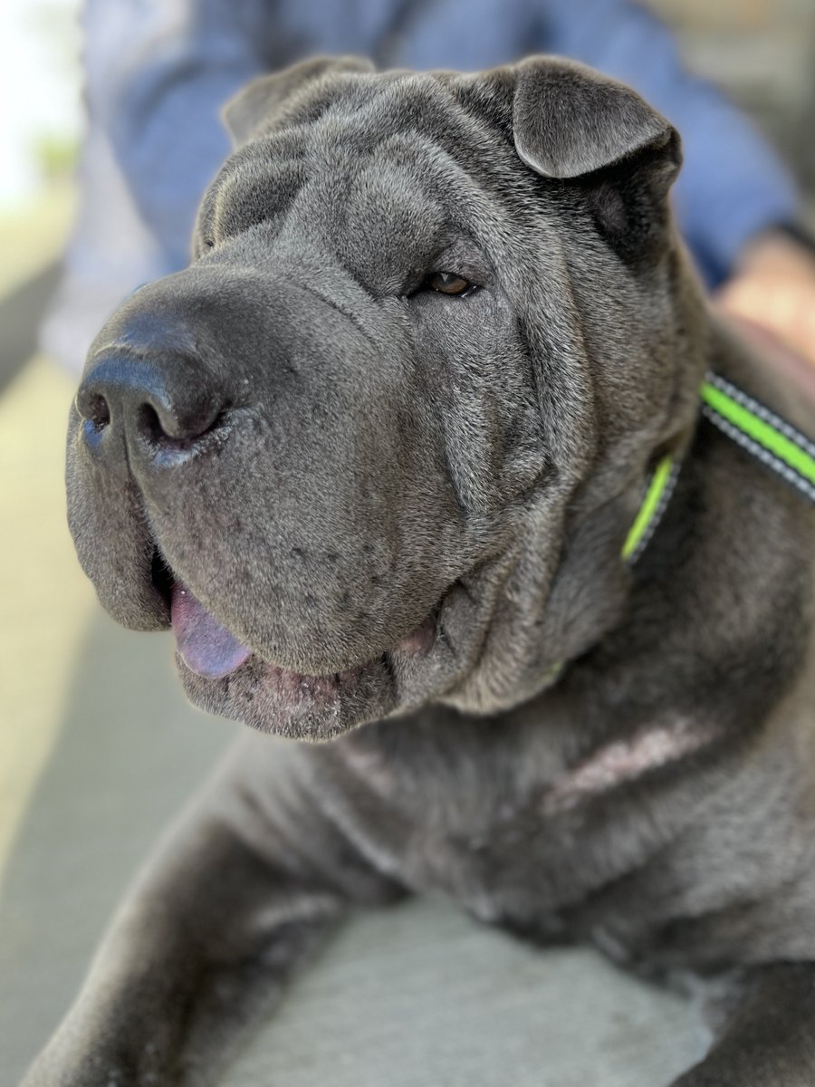 VGsilverhand tweet media