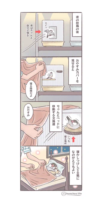 おやすみカバーを見せると自分から寝る場所に移動してカバーをかけてもらい待ちの姿勢になるの、小さい子供みたいで可愛い
#文鳥 
#4コマ漫画 