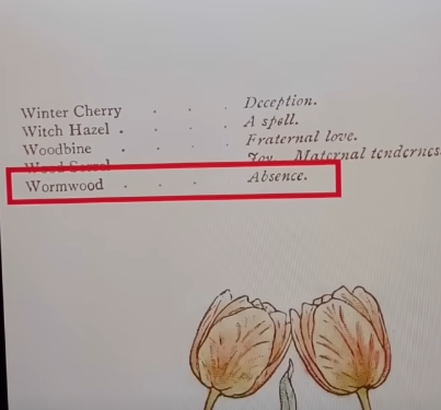 wargatudum's tweet photo. Di zaman Ratu Victoria, revolusi industri di bidang art &amp; science meningkat pesat.  

Warganya jadi hobi bertukar "pesan rahasia" lewat berbagai medium, termasuk bunga &amp; tanaman.

Lahirlah "Victorian Language of Flower", isinya list pemaknaan setiap bunga. https://t.co/esy5NRRk2N