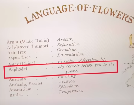 wargatudum's tweet photo. Di zaman Ratu Victoria, revolusi industri di bidang art &amp; science meningkat pesat.  

Warganya jadi hobi bertukar "pesan rahasia" lewat berbagai medium, termasuk bunga &amp; tanaman.

Lahirlah "Victorian Language of Flower", isinya list pemaknaan setiap bunga. https://t.co/esy5NRRk2N