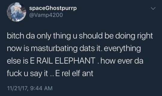 stupid (@viagrapussy) on Twitter photo 