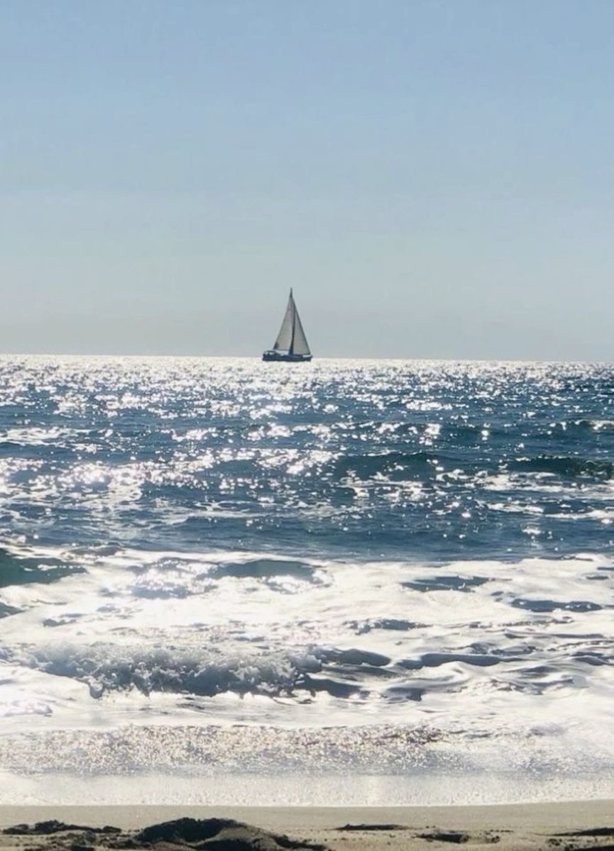 ˚ʚ chloe ɞ˚ tweet media