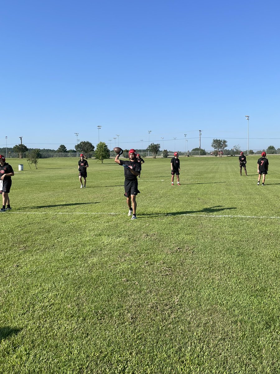 Greenville Lions Football tweet media