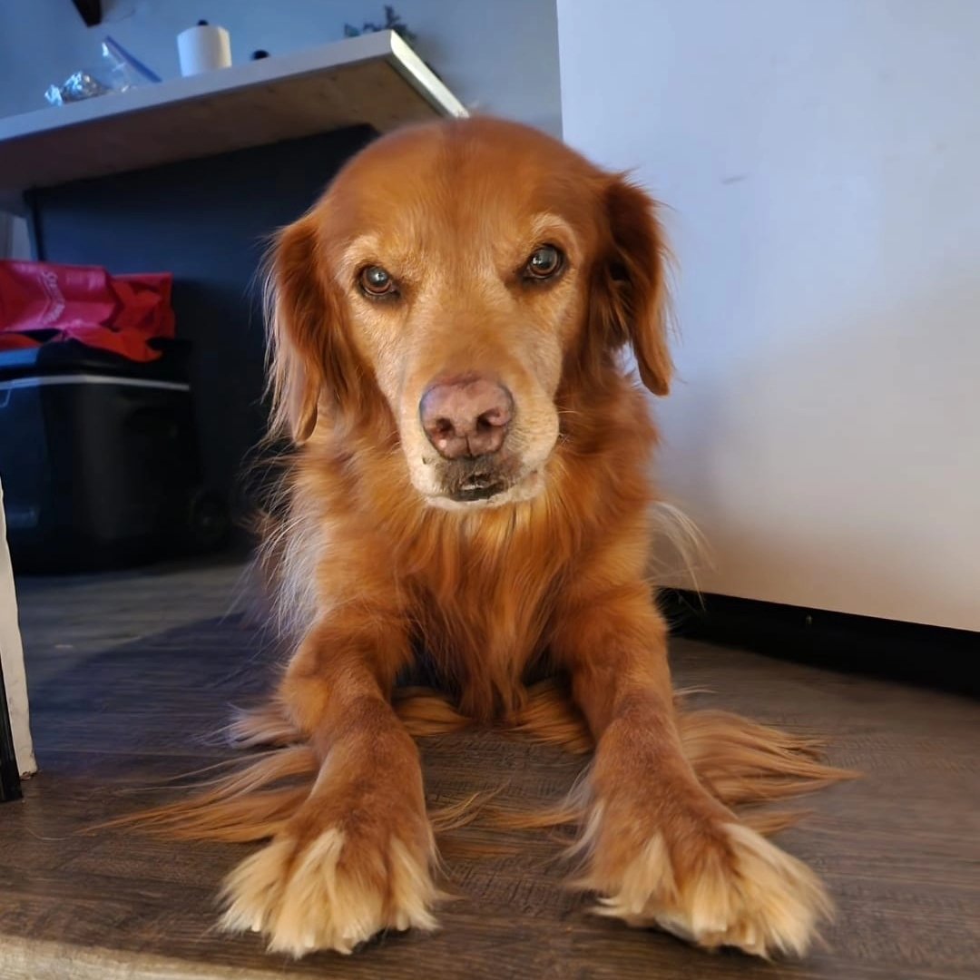 John Orquiola 🖖 tweet media