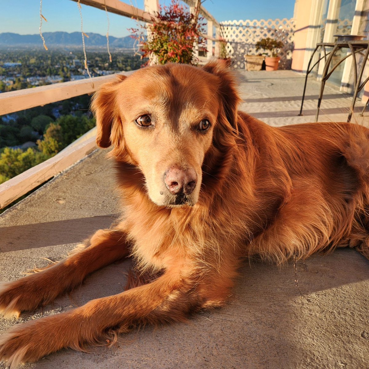 John Orquiola 🖖 tweet media