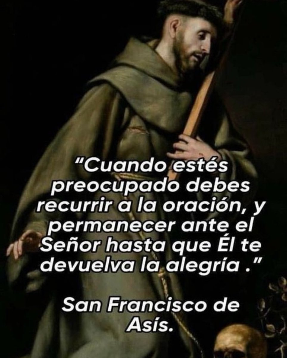 San Francisco de Asis tweet media