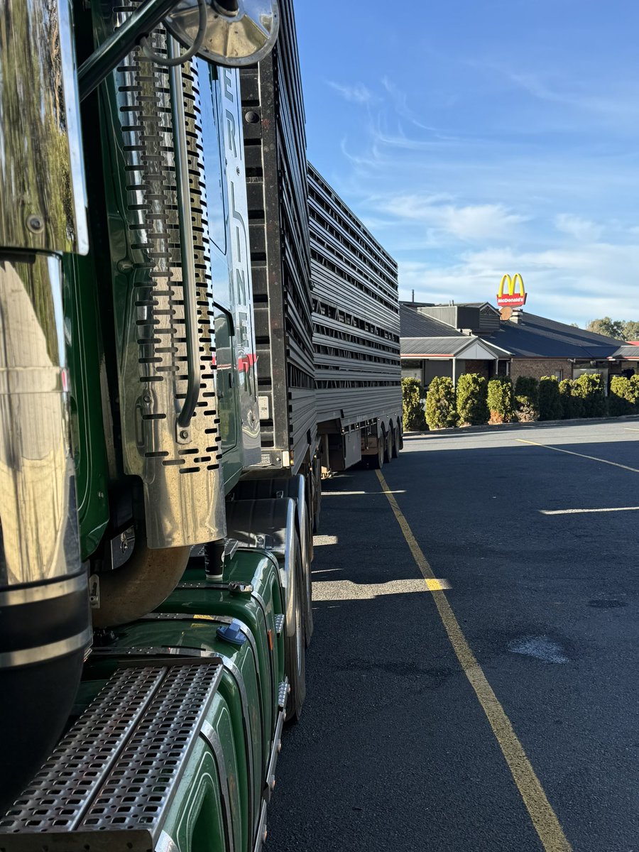 Doctor_650's tweet image. Quick bull run too Mundrabilla, Dublin, Wagga, Forbes, Uralla, Toowoomba and Dalby. 
Homeward bound. #newtruck #newjocks #twoup