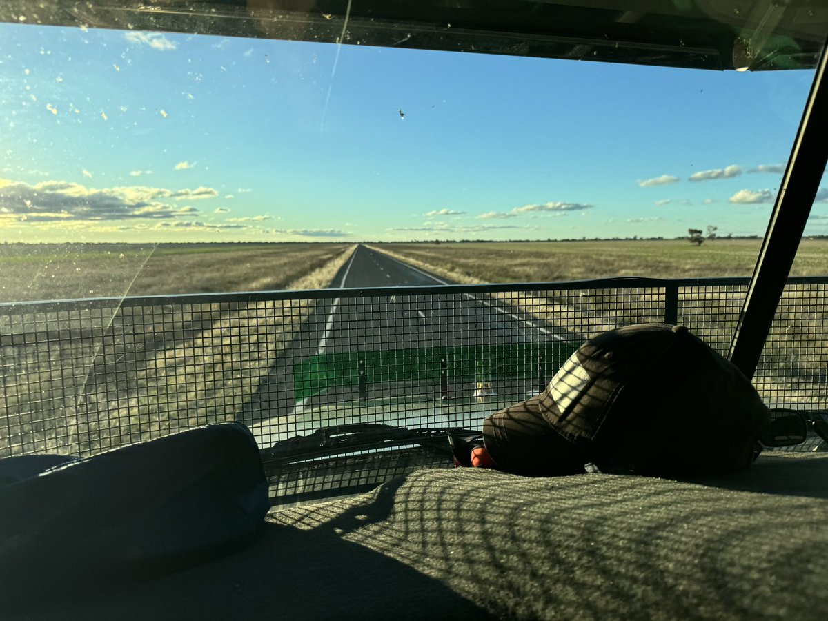 Doctor_650's tweet image. Quick bull run too Mundrabilla, Dublin, Wagga, Forbes, Uralla, Toowoomba and Dalby. 
Homeward bound. #newtruck #newjocks #twoup