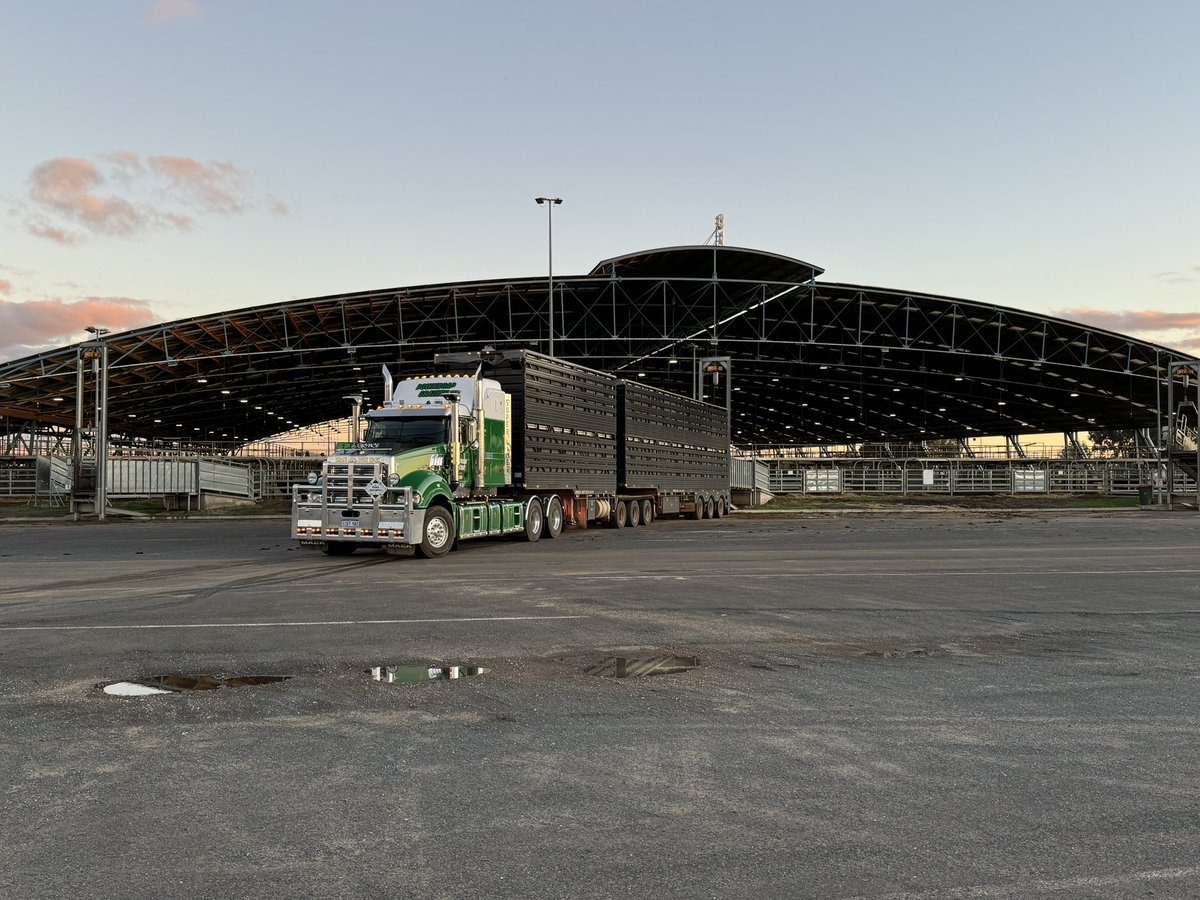 Doctor_650's tweet image. Quick bull run too Mundrabilla, Dublin, Wagga, Forbes, Uralla, Toowoomba and Dalby. 
Homeward bound. #newtruck #newjocks #twoup