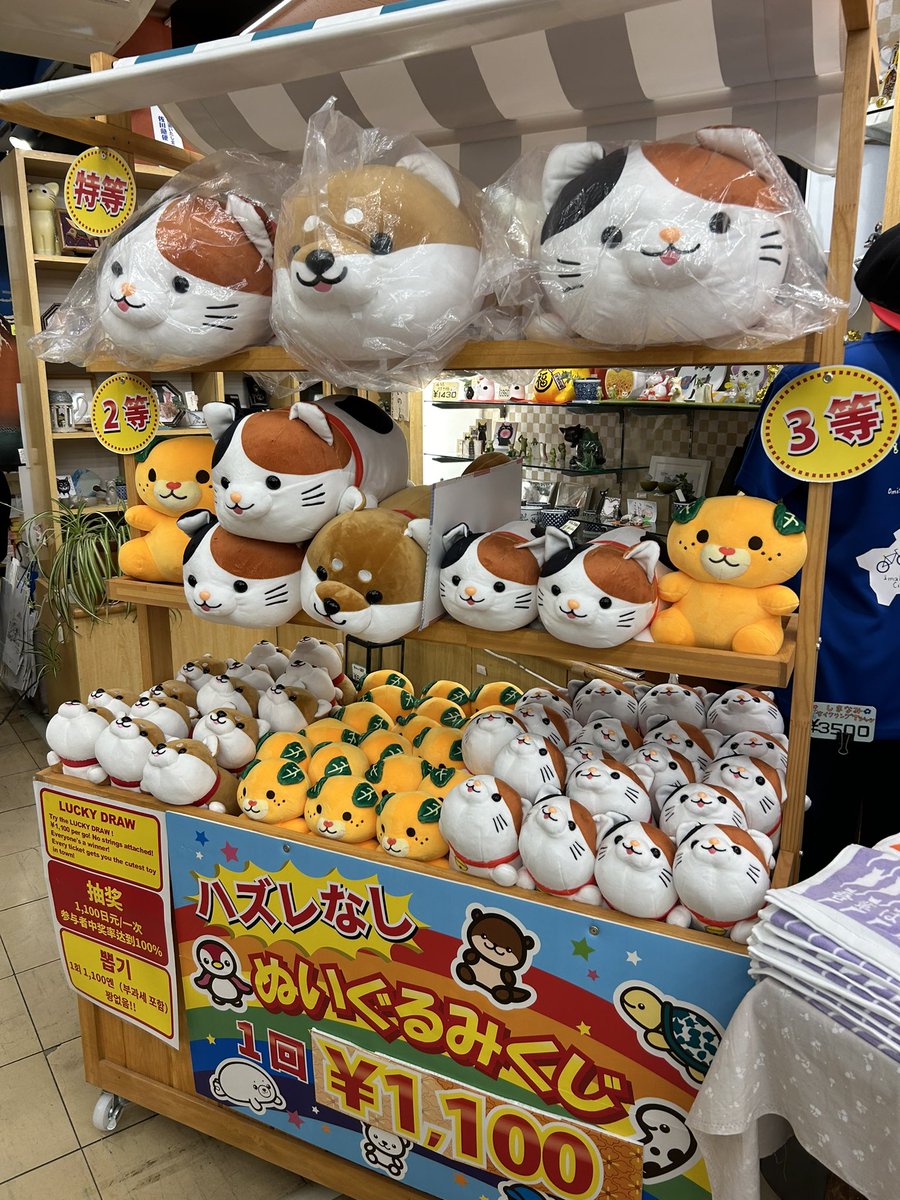 道後温泉でみきゃんと三毛猫のぬいぐるみくじが横行しているので狩りに